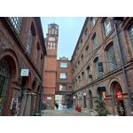 Zdjęcia użytkowników Realme C55