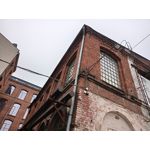 Zdjęcia użytkowników Realme C55