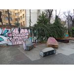 Zdjęcia użytkowników Realme C55