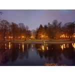 Zdjęcia użytkowników Realme C55