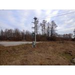 Zdjęcia użytkowników Realme C55