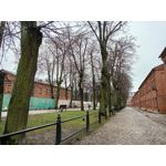 Zdjęcia użytkowników Realme C55