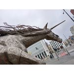 Zdjęcia użytkowników Realme C55