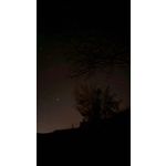 ZDJĘCIA Z TEGO TELEFONU