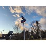 Zdjęcia użytkowników Realme GT 2 Pro