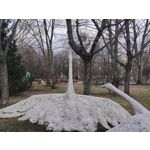 Zdjęcia użytkowników Realme GT 2 Pro