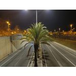 Zdjęcia użytkowników Realme GT 2 Pro