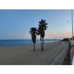 Zdjęcia użytkowników Realme GT 2 Pro