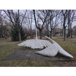 Zdjęcia użytkowników Realme GT 2 Pro