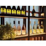 Zdjęcia użytkowników Realme GT 2 Pro