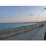 Zdjęcia użytkowników Realme GT 2 Pro