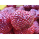 Zdjęcia użytkowników Realme GT 5G Zdjęcia użytkowników Realme GT 5G