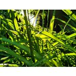 Zdjęcia użytkowników Realme GT 5G Zdjęcia użytkowników Realme GT 5G