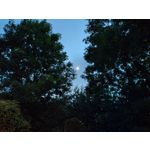 Zdjęcia użytkowników Realme GT 5G Zdjęcia użytkowników Realme GT 5G