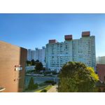 Zdjęcia użytkowników Realme GT 5G Zdjęcia użytkowników Realme GT 5G