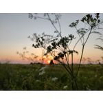 Zdjęcia użytkowników Realme GT 5G Zdjęcia użytkowników Realme GT 5G