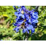 Zdjęcia użytkowników Realme GT 5G Zdjęcia użytkowników Realme GT 5G