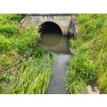 Zdjęcia użytkowników Realme GT 5G Zdjęcia użytkowników Realme GT 5G