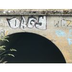 Zdjęcia użytkowników Realme GT 5G Zdjęcia użytkowników Realme GT 5G