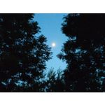 Zdjęcia użytkowników Realme GT 5G Zdjęcia użytkowników Realme GT 5G