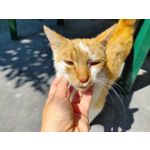 Zdjęcia użytkowników Realme GT 5G Zdjęcia użytkowników Realme GT 5G