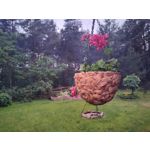 Zdjęcia użytkowników Realme GT 5G Zdjęcia użytkowników Realme GT 5G