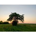 Zdjęcia użytkowników Realme GT 5G Zdjęcia użytkowników Realme GT 5G