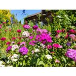 Zdjęcia użytkowników Realme GT 5G Zdjęcia użytkowników Realme GT 5G