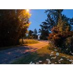 Zdjęcia użytkowników Realme GT 5G Zdjęcia użytkowników Realme GT 5G