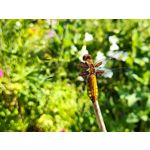 Zdjęcia użytkowników Realme GT 5G Zdjęcia użytkowników Realme GT 5G