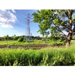 Zdjęcia użytkowników Realme GT 5G Zdjęcia użytkowników Realme GT 5G