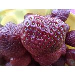 Zdjęcia użytkowników Realme GT 5G Zdjęcia użytkowników Realme GT 5G