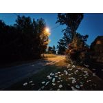 Zdjęcia użytkowników Realme GT 5G Zdjęcia użytkowników Realme GT 5G