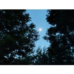 Zdjęcia użytkowników Realme GT 5G Zdjęcia użytkowników Realme GT 5G