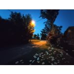 Zdjęcia użytkowników Realme GT 5G Zdjęcia użytkowników Realme GT 5G