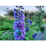 Zdjęcia użytkowników Realme GT 5G Zdjęcia użytkowników Realme GT 5G