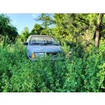 Zdjęcia użytkowników Realme GT 5G Zdjęcia użytkowników Realme GT 5G