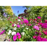 Zdjęcia użytkowników Realme GT 5G Zdjęcia użytkowników Realme GT 5G