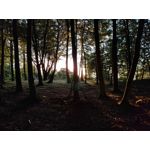 Zdjęcia użytkowników Realme GT Master Zdjęcia użytkowników Realme GT Master