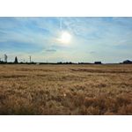 Zdjęcia użytkowników Realme GT Master Zdjęcia użytkowników Realme GT Master