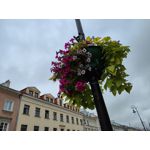 Zdjęcia użytkowników Realme GT Master Zdjęcia użytkowników Realme GT Master