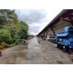 Zdjęcia użytkowników Realme GT Master Zdjęcia użytkowników Realme GT Master