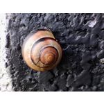 Zdjęcia użytkowników Realme GT Master Zdjęcia użytkowników Realme GT Master