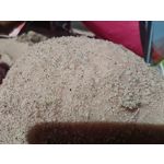 Zdjęcia użytkowników Realme GT Master Zdjęcia użytkowników Realme GT Master