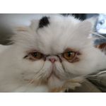 Zdjęcia użytkowników Realme GT Master Zdjęcia użytkowników Realme GT Master