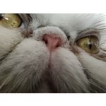 Zdjęcia użytkowników Realme GT Master Zdjęcia użytkowników Realme GT Master