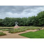 Zdjęcia użytkowników Realme GT Master Zdjęcia użytkowników Realme GT Master