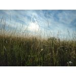 Zdjęcia użytkowników Realme GT Master Zdjęcia użytkowników Realme GT Master