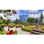 Zdjęcia użytkowników Realme GT Neo 3T