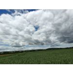 Zdjęcia użytkowników Realme GT Neo2 Zdjęcia użytkowników Realme GT Neo2